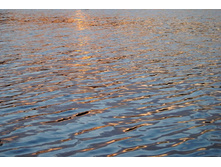 ���� �� ������.jpg