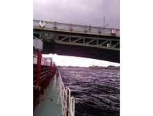  ����� 48.jpg