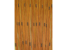 ������ ��������