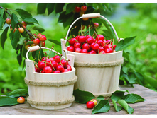 ����� ����������� ���������� 30*20*0,4 � ������������, 95 ���