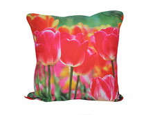 ��������� ����� ���������� 40*40��, ���������, 70 ���