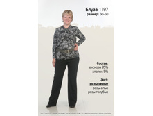 1197-���� �����.jpg