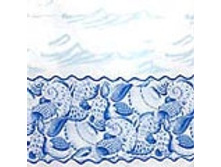 SEYCHELLS �������: 62254