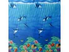 DOLPHINS �������: 62088