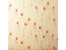 HOLLAND �������: 62178