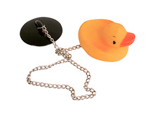  ������ ��� ����� � �������� � ������������, 60 ���