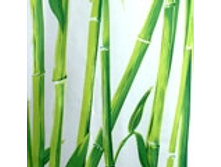 BAMBOO �������: 62311