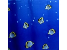 PIRANHA �������: 62343