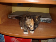 17.08.2011 16:27:38