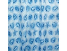 SHELLWORK ������� �������: 62292 