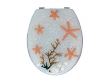 ������� ������  �������: 80622  �������: 81105