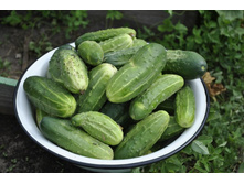 ��� ����� ������� �������� ������������ ����������!!!!