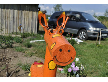 ��� ����� ���������