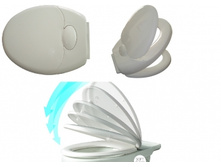 ������� FAMILY 	  