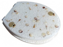 ������� SEASHELL �������: 81411 