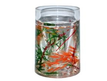 ORIENTAL �������: 31700