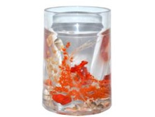 ������ �������: 30800