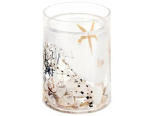 ������  �������: 33800