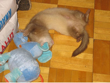 ���� �� ������ � ������ �����, ������ ����� ���� ������� :)