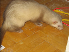 ��� �� �����!