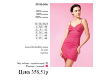 PD51c006 Flamingo.JPG