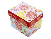 ������ ������������� ����� 300�� � ���������� �������, 110 ���