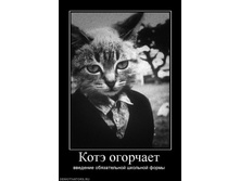 528123_kote-ogorchaet.jpg