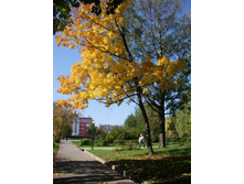 � ������ ������ ...