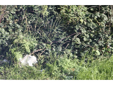 �������� ��� ���� ������