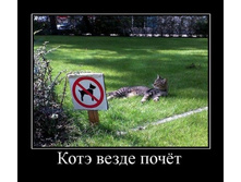 ����� ��ޣ�.jpg