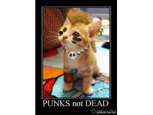 ������� ����.jpg