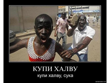 ���� �����.jpg