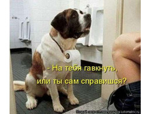 ��������� ������.jpg