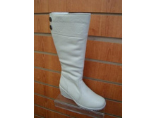 GL 3671 ���.�.�