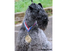 ���� ����������.jpg