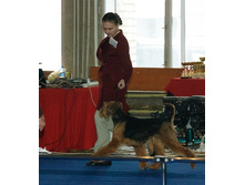 ��������� ��������