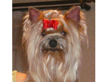 �.�.����� �����