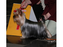 �������� ����� ���������