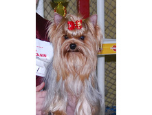 �.�.��������� �������� �����-10.04.11�.����� 232�.jpg