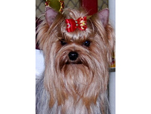 �.�.��������� �������� �����-10.04.11�.����� 232�.jpg