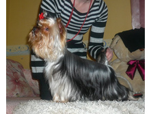 �.�.��������