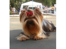 �.�.��������