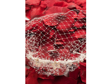 adee69bfdb753fb4978c66abddae0e5a.jpeg