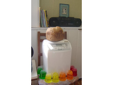 ���� �������