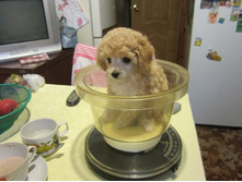 ������������