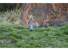 ����� ������ ����� � ������