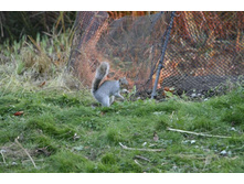 � ������ �� ������.