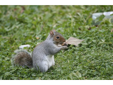 � ��� ��,