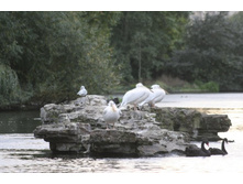 ���� ���� ��������