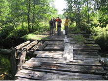 ���� ����� �������